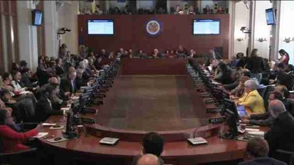 Venezuela carga en la OEA contra la "injerencia" de una "minoría" de países