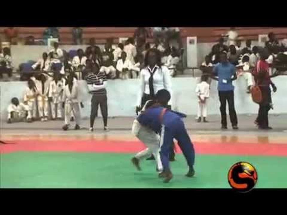 Sensei du 08 Fevrier 2015