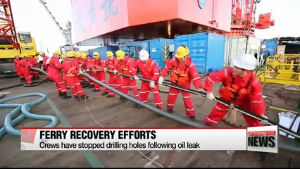 Descargar video: Sewol-ho recovery operation back on track after slight delay