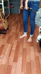 Chết cười với con Corgi này mất thôi ^^^^