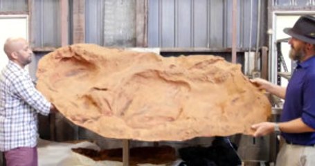 Avustralya'da Dünyanın En Büyük Dinazor Ayak İzi Bulundu