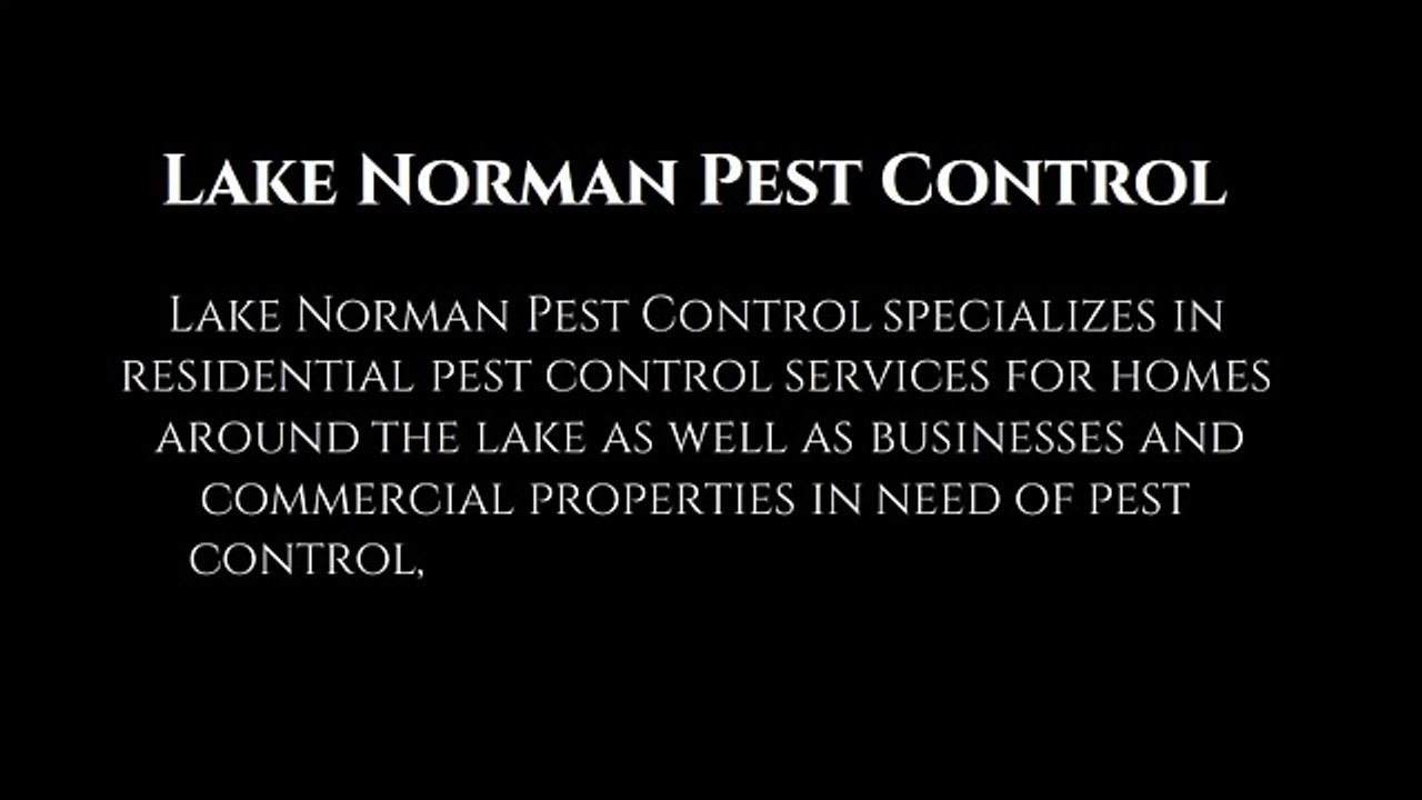 Termite Control