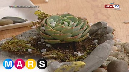 Handy Mars: DIY concrete hand planter by Benj Mudie and John Odulio