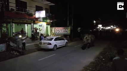 Au Népal tu peux croiser des rhinocéros dans la rue...