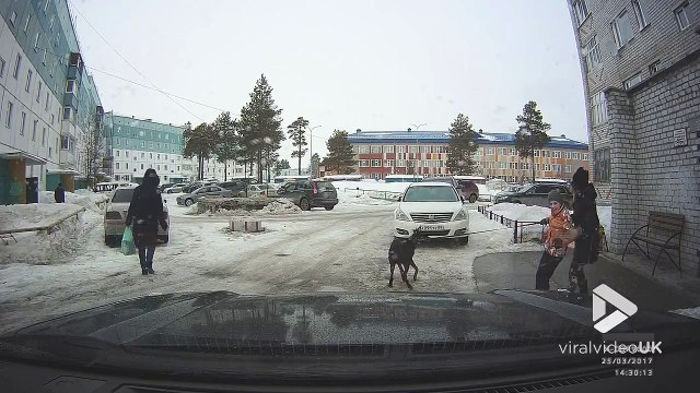 Ce doberman se barre alors qu'il est attaché à un banc... Ahaha