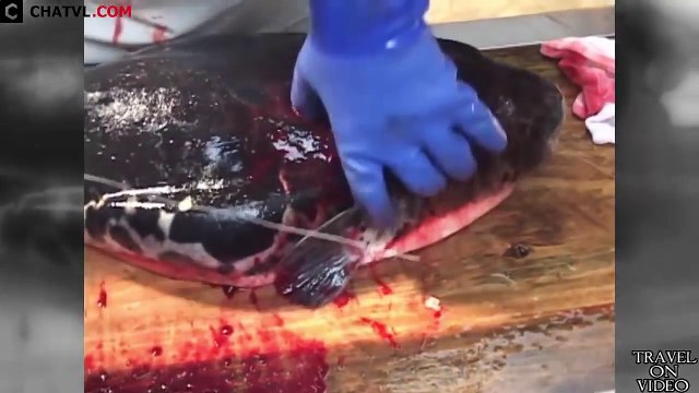 Fillet Puffer Fish in Japan - Japanese Street Food , Fast food