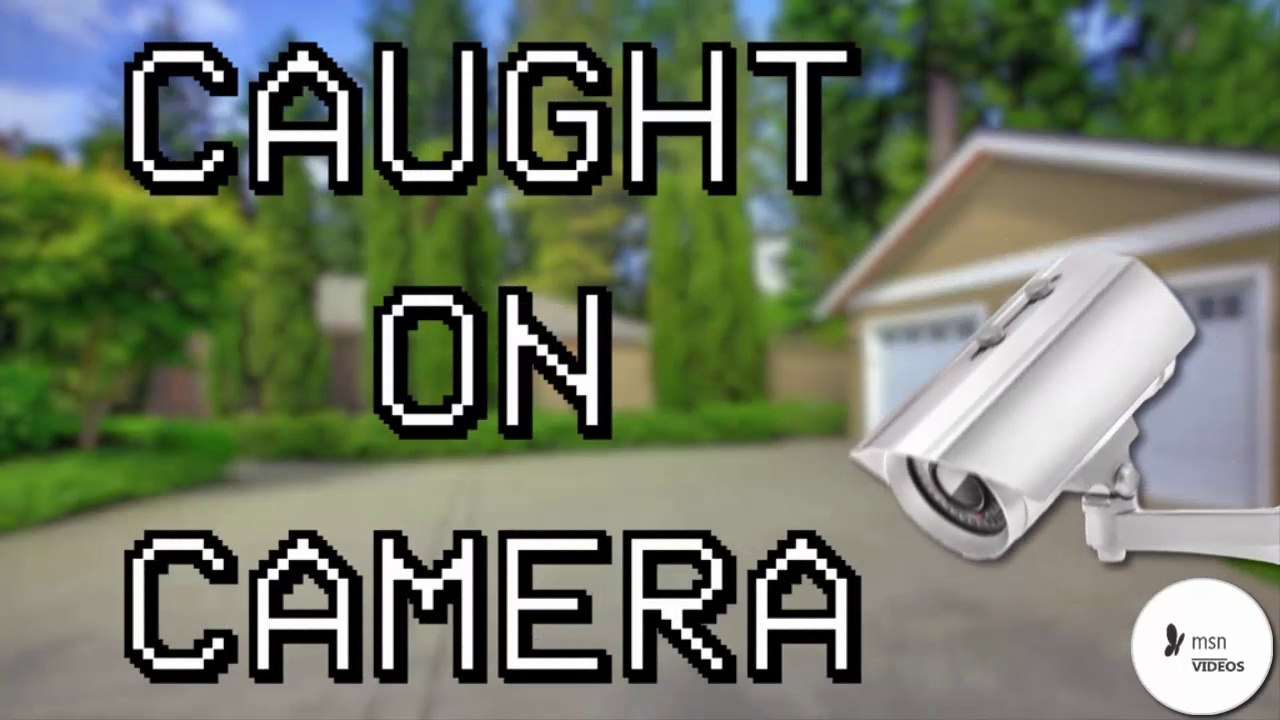 11 Hilarious Fails Caught On Camera