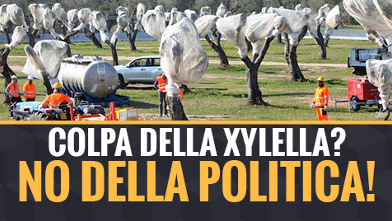 Puglia svenduta al TAP grazie al PD