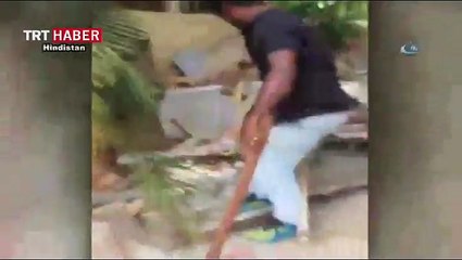 Zehirli yılanla oyuncak gibi oynadı