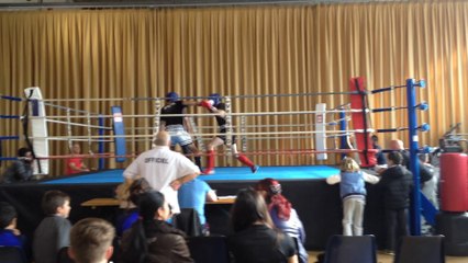 boxe ,pied poing