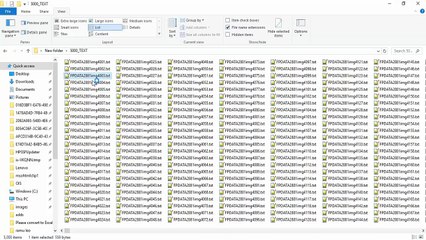 debetor fomfilling covnersion or typing services