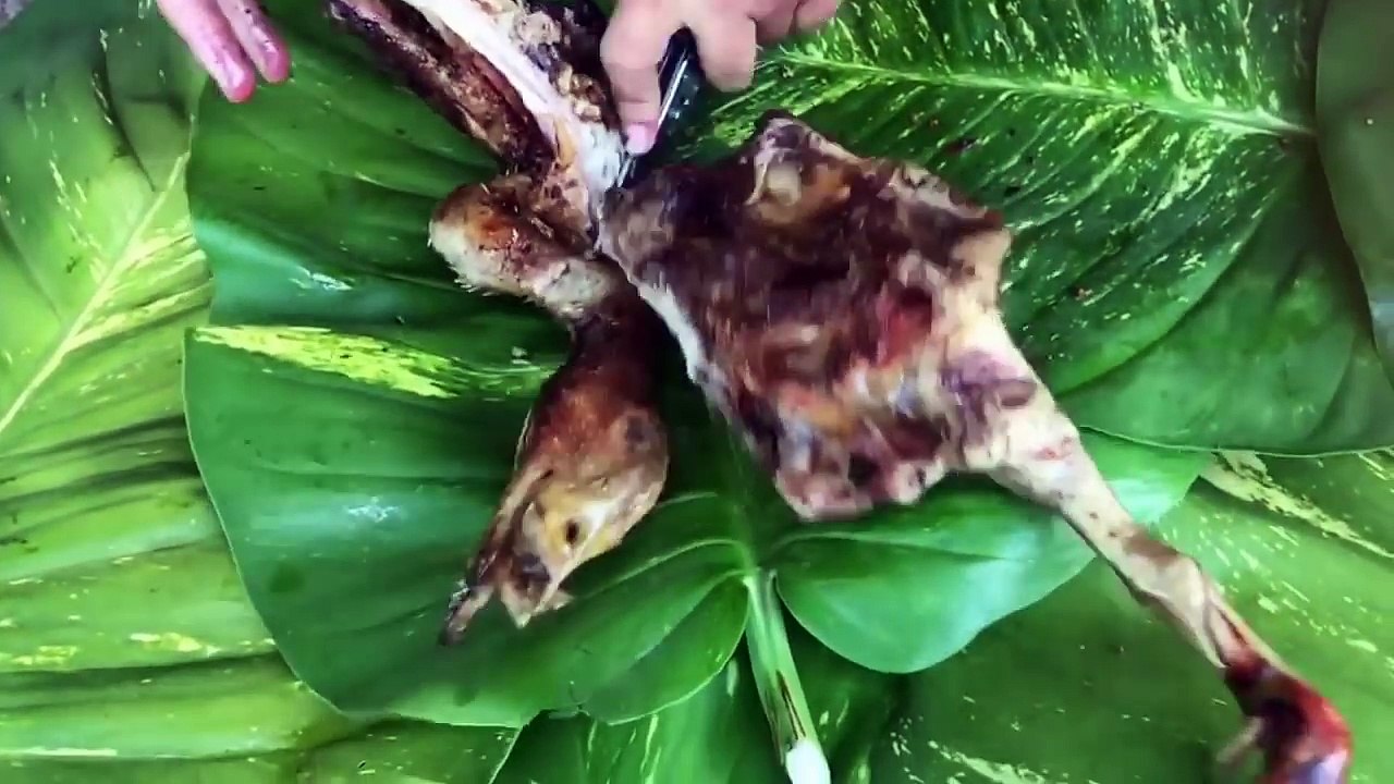 Ăn Thịt Vịt Nướng Và Cách Nướng Vịt Dân Dã Khi Đi Dã Ngoại