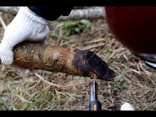 Người người mua đào là đốt gốc nhưng liệu bạn có biết sự thật này?