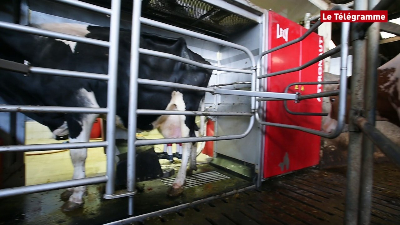 Images du robot de traite automatique Lely