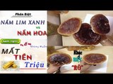 Phân Biệt Nấm Lim Xanh Có Bị Trộn với Nấm Hoa Hay Không? - Mất Tiền Triệu Mua Hàng Không Chất Lượng