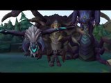 LOL SHUFF MONTAGE : Birds crazy with League of Legends  # Funny League Of Legends