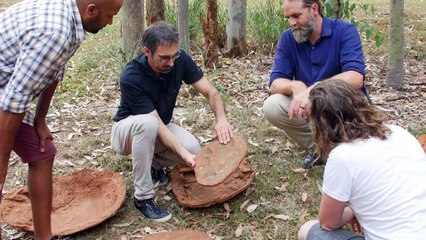 "Australiens Jurassic Park" begeistert Dino-Forscher