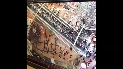 Un escalator s'emballe et change de direction, blessant plusieurs personnes au passage