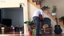 This man chases the cat out of the chair in order to play. Shortly after the cat takes revenge so epic!