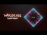 Lumian - Wildlife [Goodbye Copyright Sounds]