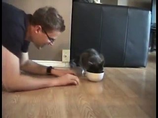 Il fait semblant de manger dans la gamelle de son chat, la réaction du félin est à la fois inattendue et amusante !