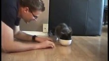 Il fait semblant de manger dans la gamelle de son chat, la réaction du félin est à la fois inattendue et amusante !