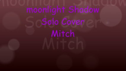 Moonlight Shadow Solo Cover