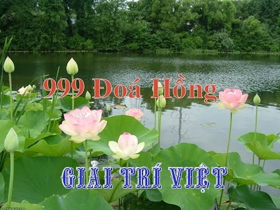 [ KARAOKE ]  999 Đóa Hồng - Quách Tuấn Du