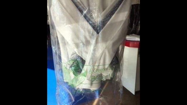 Chicago Green Cleaners - (312) 273-5132