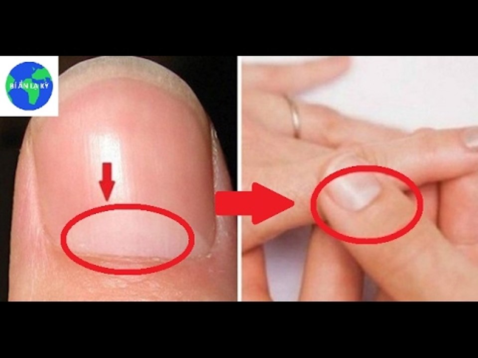 Dám cá bạn sẽ choáng váng trước 10 sự thật "ngã ngửa" này về cơ thể mình