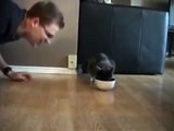 He pretends to eat the food of his cat. The reaction of the cat is hilarious!