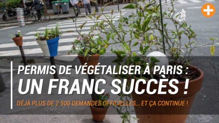 Permis de végétaliser à Paris : un franc succès !