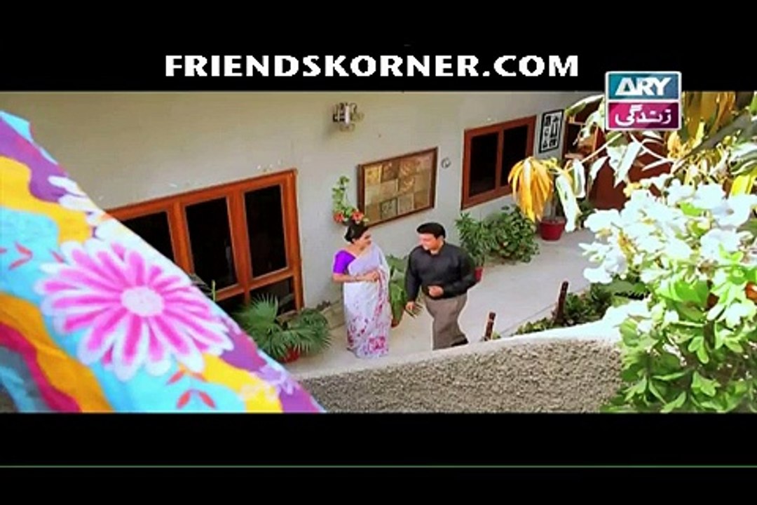 Haal-e-Dil Episode 117