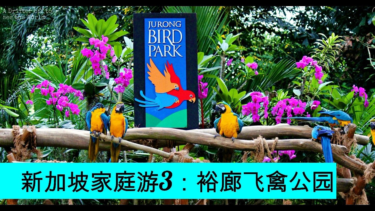 5大新加坡家庭亲子旅游胜地