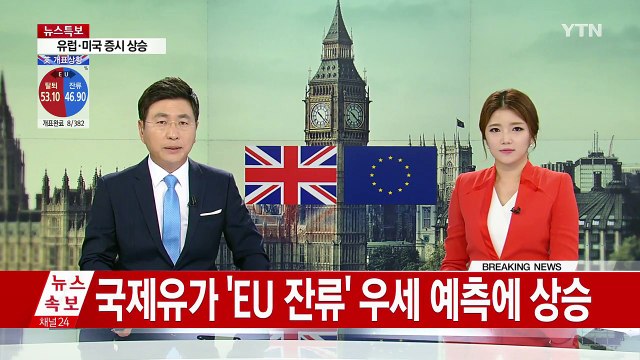 정부 브렉시트 예단 이르다 ...금융시장 충격 대비 / YTN (Yes! Top News)