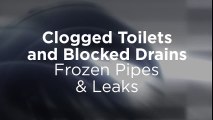 Repairing Clogged Toilet and Blocked Drains