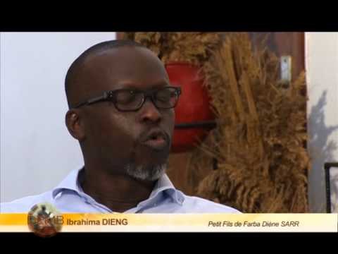 DEMB FARBA DIENE SARR