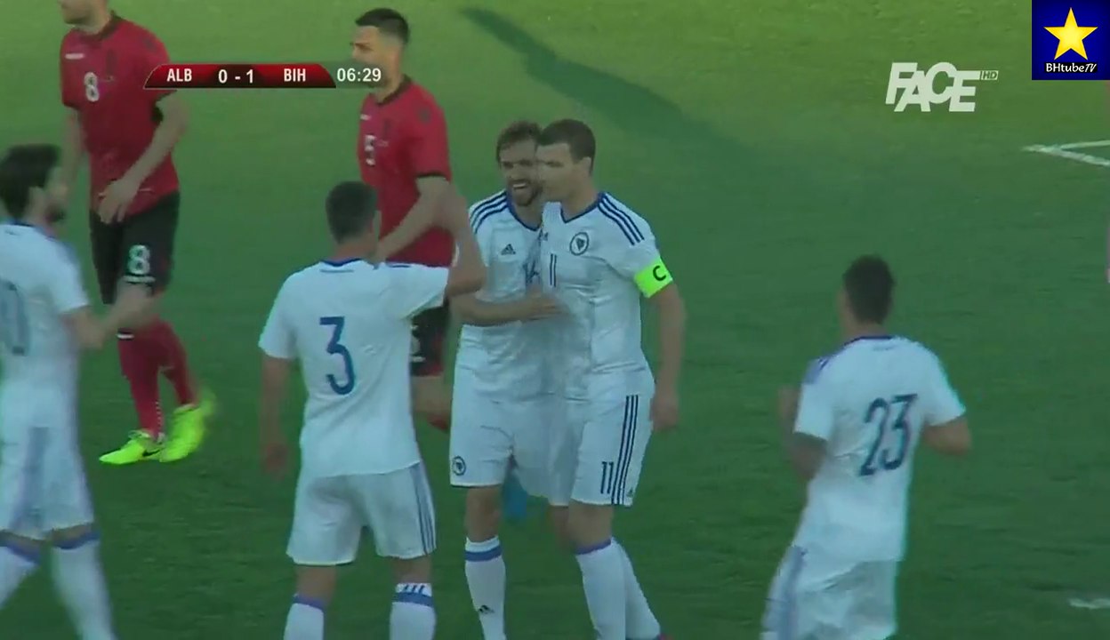 Edin Džeko goal vs Albania