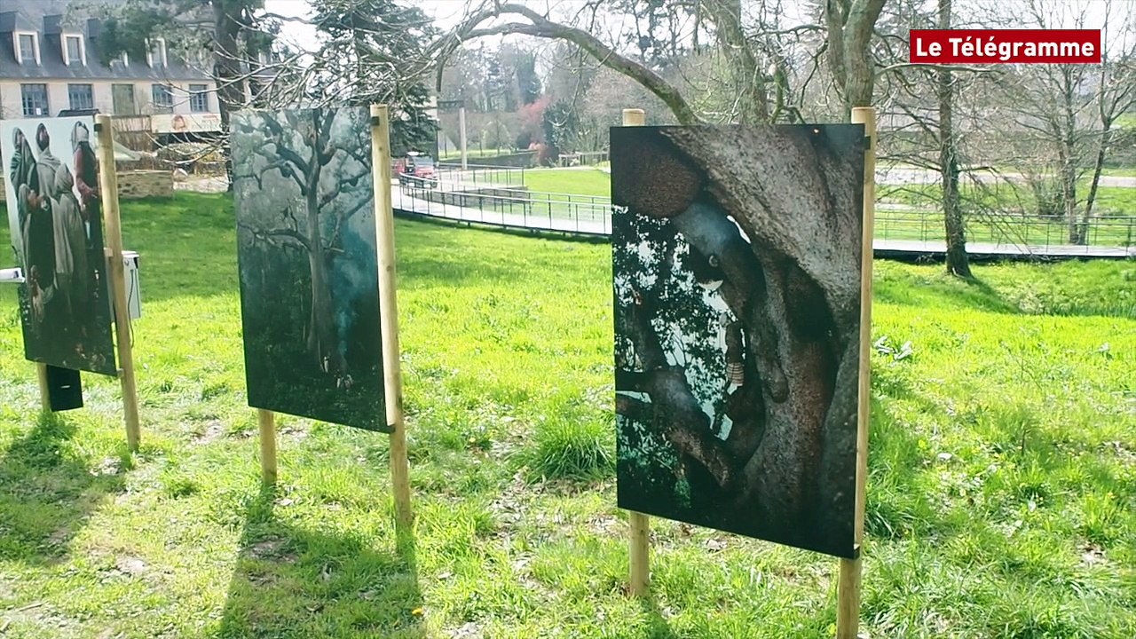 Abbaye de Daoulas. Eric Valli expose les chasseurs de miel et des ténèbres