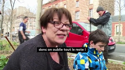 Paris : des potagers au cœur de la capitale