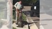 Un homme sauve un alligator coincé dans un égout.