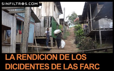 La rendición de los disidentes de las FARC | Sinfiltros.com