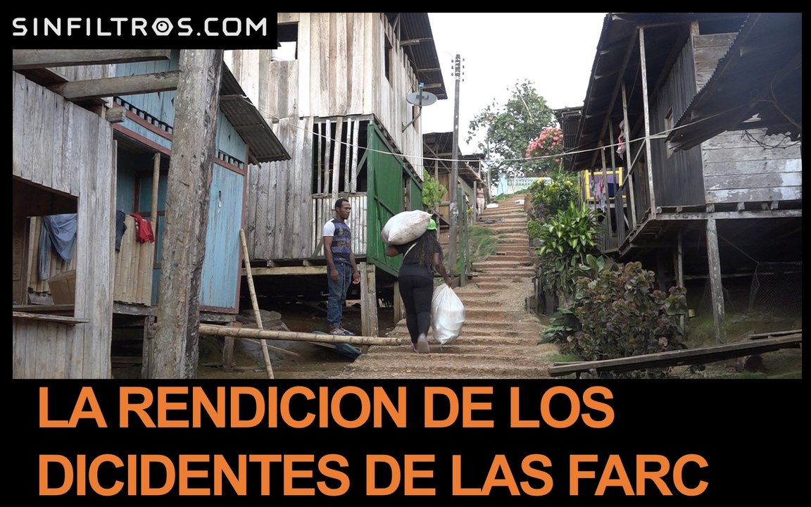 La rendición de los disidentes de las FARC | Sinfiltros.com
