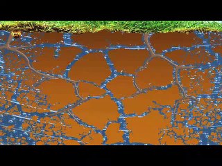 تكوين التربة مناسب بشكل مثالي للحياة