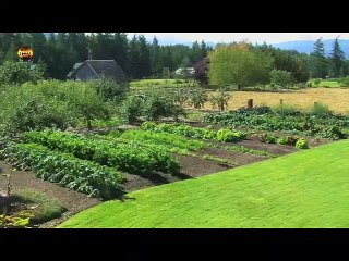 كانت التربة مصدر الحضارات في كل العصور