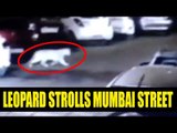 Mumbai : Leopard strolls streets of Mulund, Watch horrifying CCTV footage | Oneindia News
