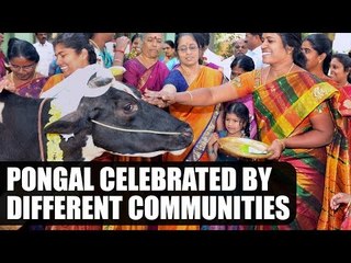 Pongal celebrated by different communities|Oneindia News