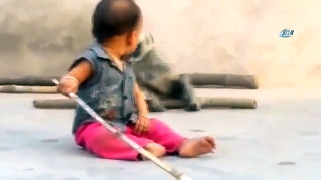 Maymun oynamak arkadaş olmak istiyor ilk defa maymun gören bebek aglıyor