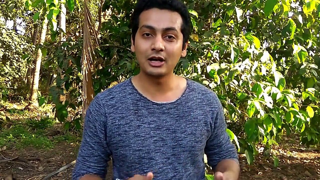 Grilled fish on Stone | Village style grilled fish | Fish Tandoori village style | Grilled Salmon | Cooking on rock