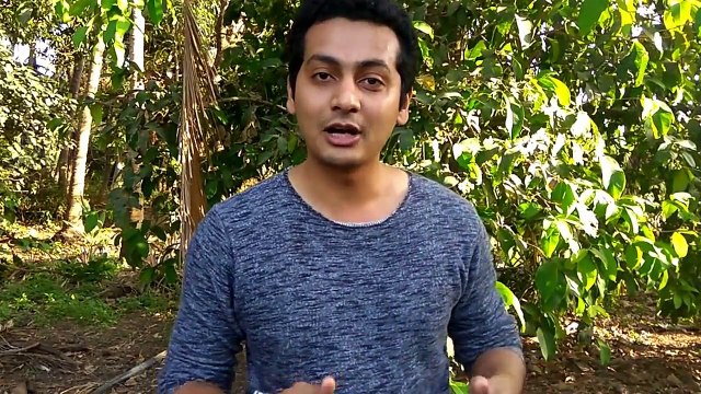 Grilled fish on Stone | Village style grilled fish | Fish Tandoori village style | Grilled Salmon | Cooking on rock